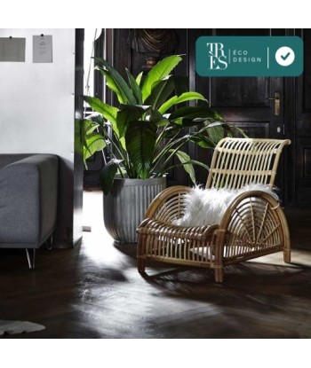 Fauteuil Paris par Arne Jacobsen en rotin 50% de réduction en Octobre 2024